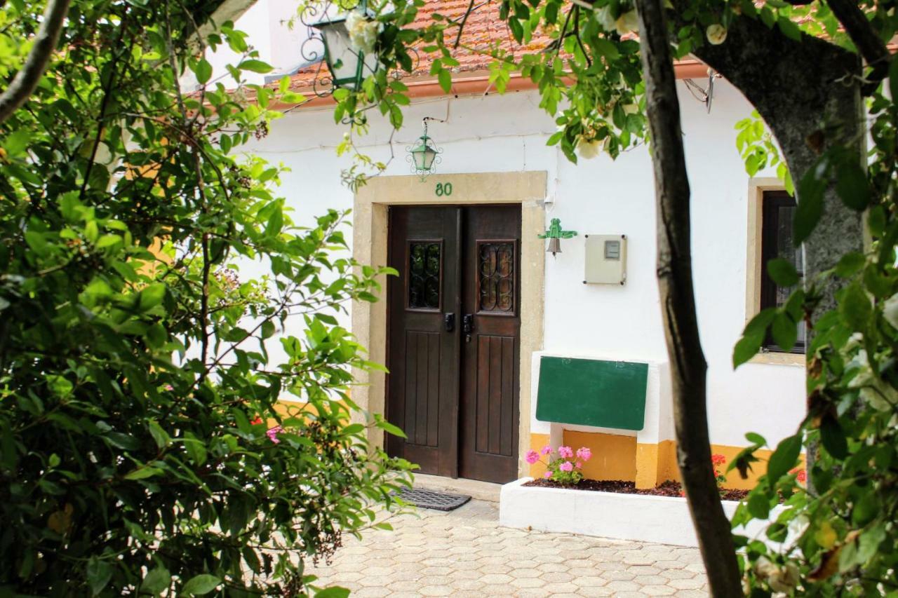 Vila Quinta Da Ti Julia Tomar Exteriér fotografie
